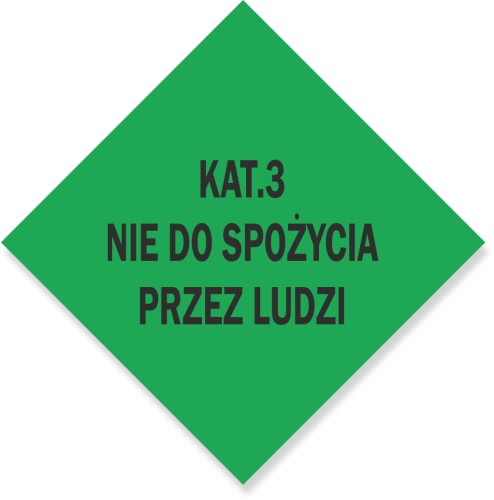 KAT3.jpg